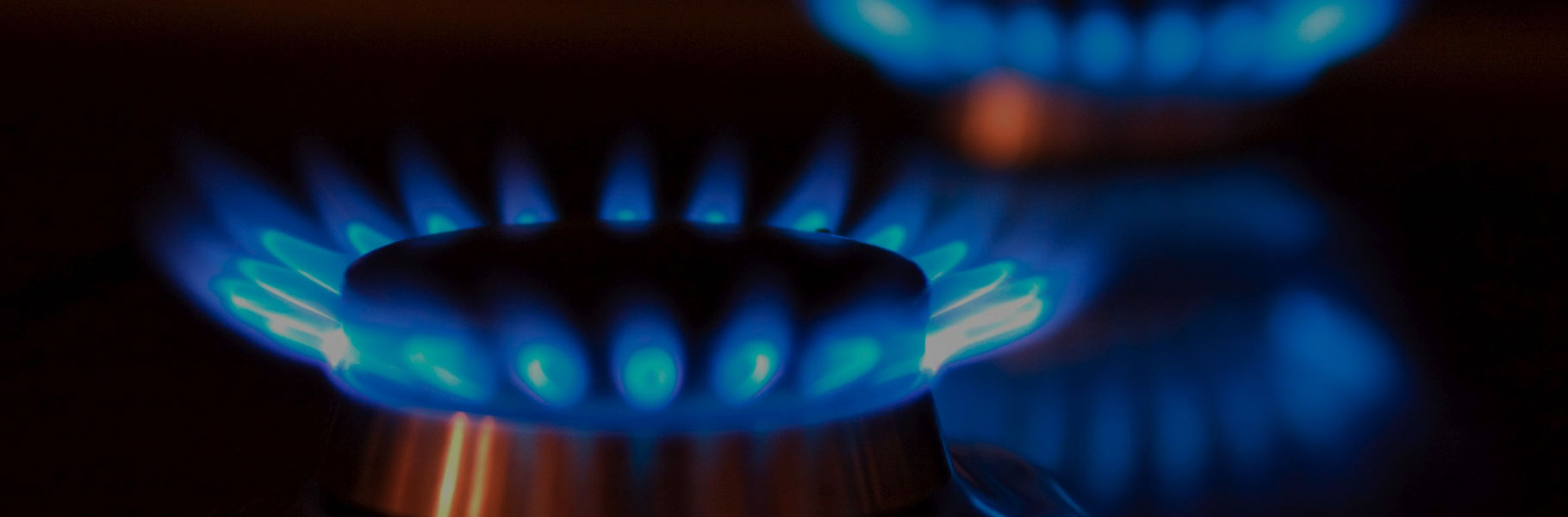 T gas. ГАЗ курс. ГАЗ Т 241 Ео